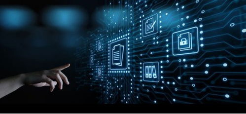 中量质子 数智赋能广告投放 由需而发，降本增效